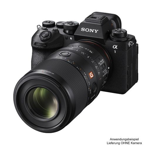 Sony FE 100mm F2.8 Macro GM OSS (SEL100M28GM)