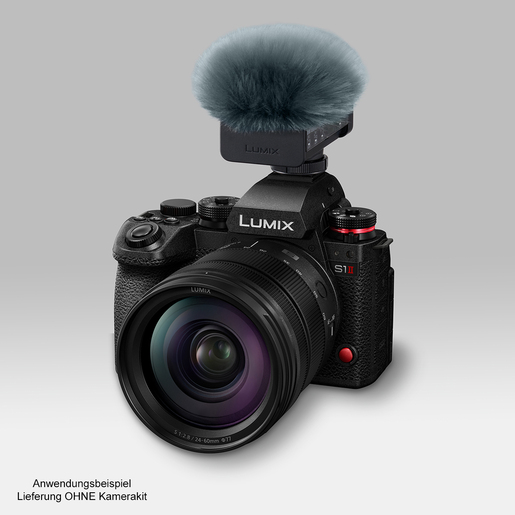Panasonic DMW-DMS1, digitales Richtmikrofon