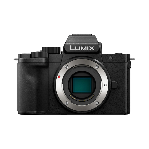 Panasonic Lumix DC-G100DW Double Zoom Kit