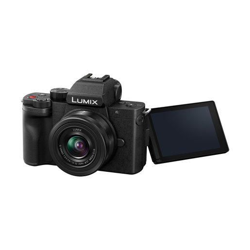 Panasonic Lumix DC-G100DK