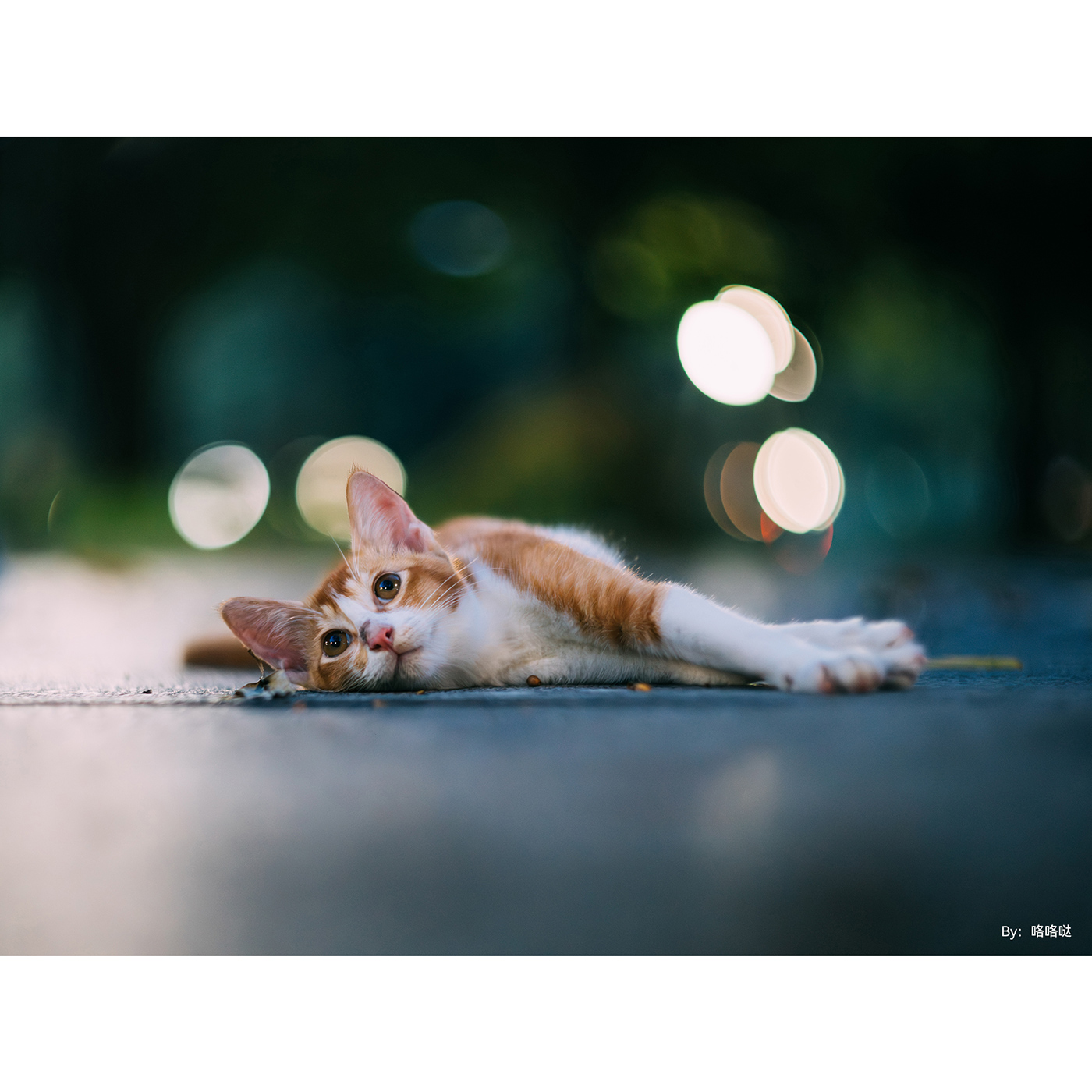 TTARTISAN 75mm f/1,5 - M42 (FF)