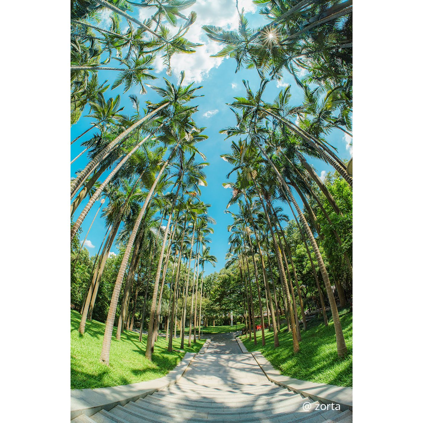 7Artisans AF 10mm f/2,5 MAX Fisheye - Nikon Z (FF)