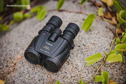 Canon Binocular 10x42 L IS WP