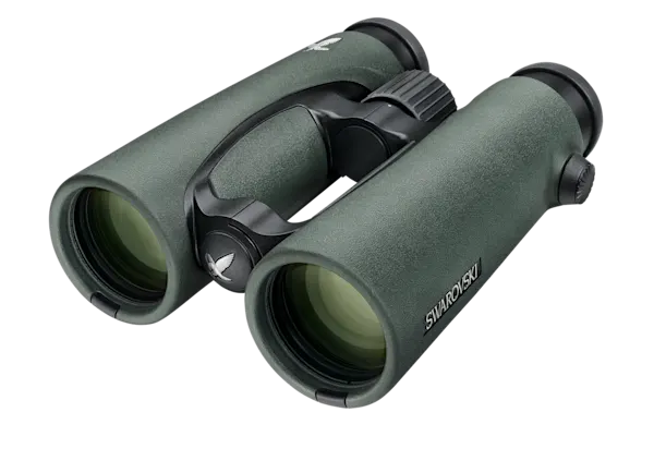 Swarovski EL 10x42 WB grün