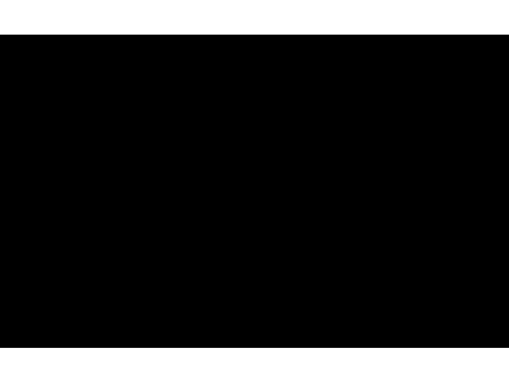 Hintergrund 1,35x11m Black