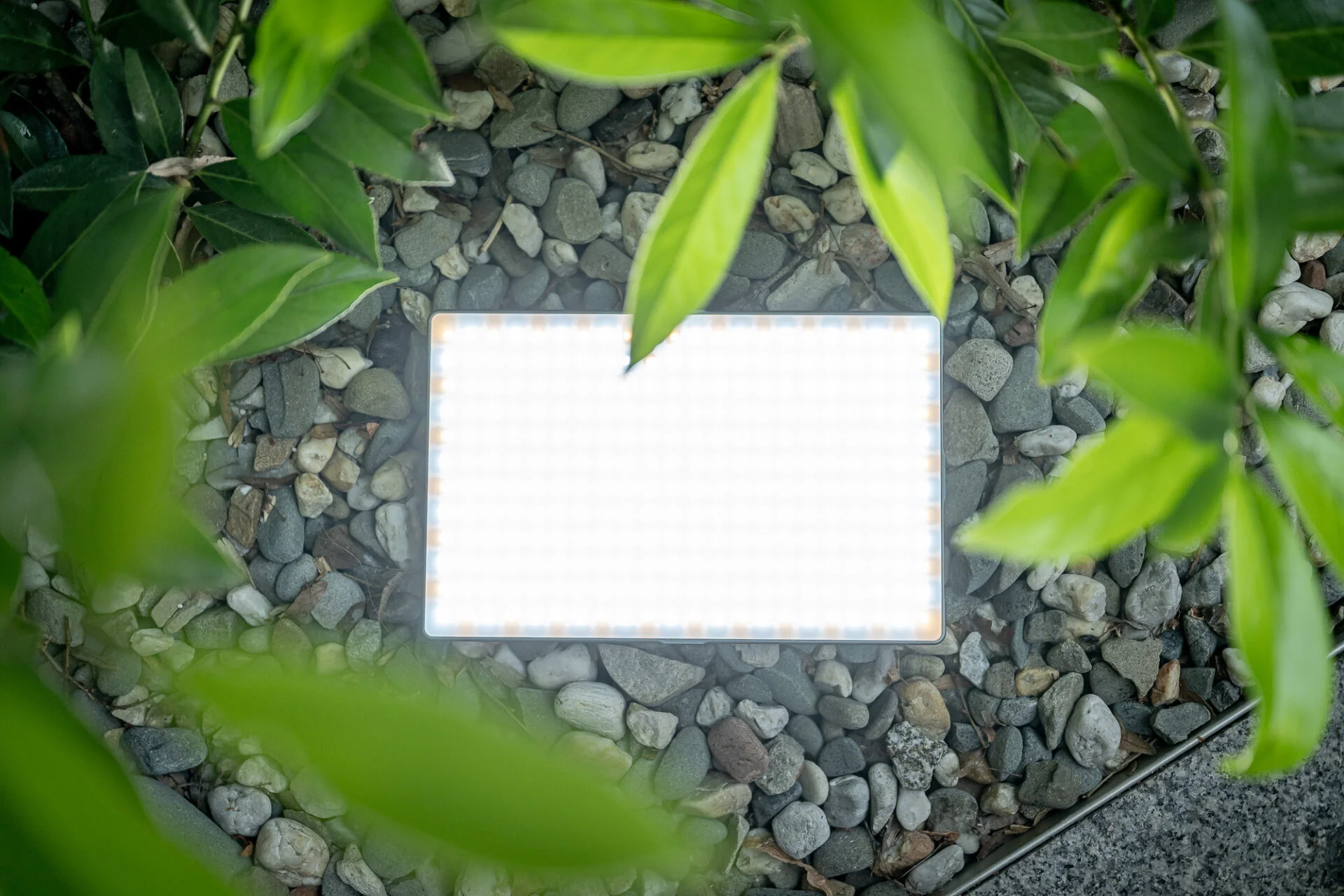 Newell Rangha MAX XL LED RGB-W Lampe