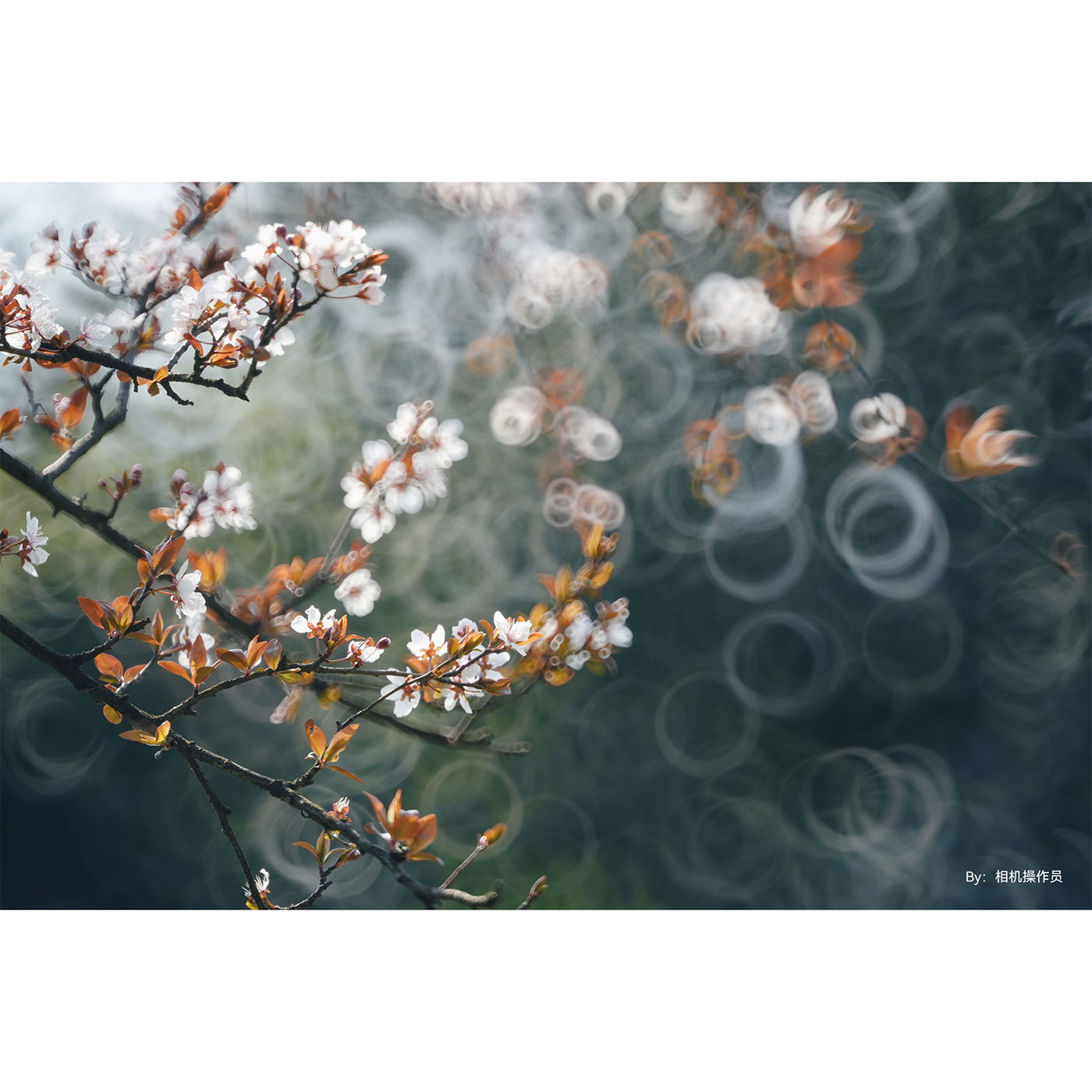 TTARTISAN 250mm f/5,6 Spiegeltele  - M42 (FF)