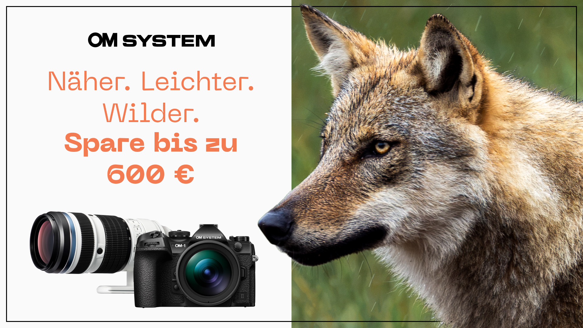 om wildlife cashback 2026