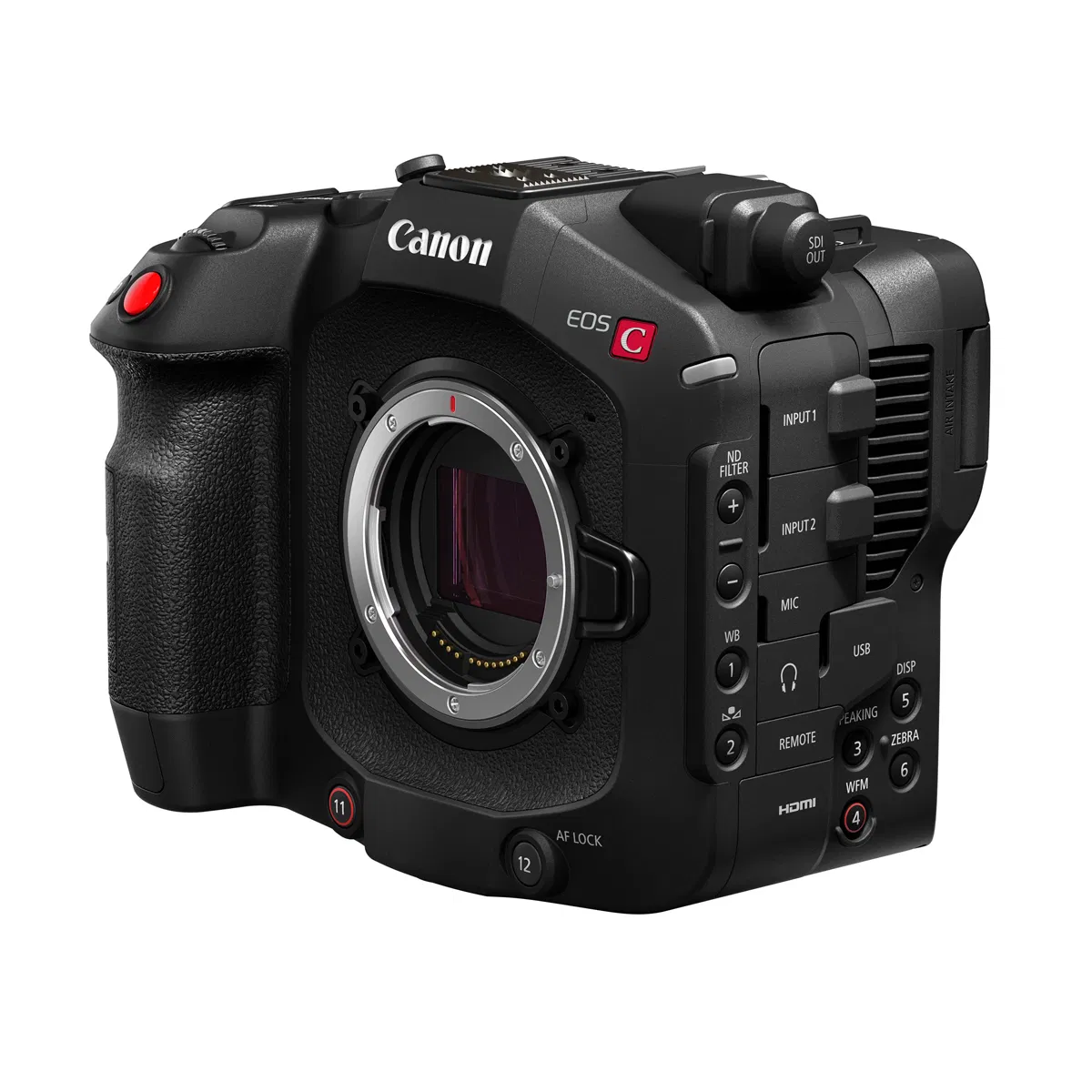 Canon EOS C80 Body Cinema Camcorder