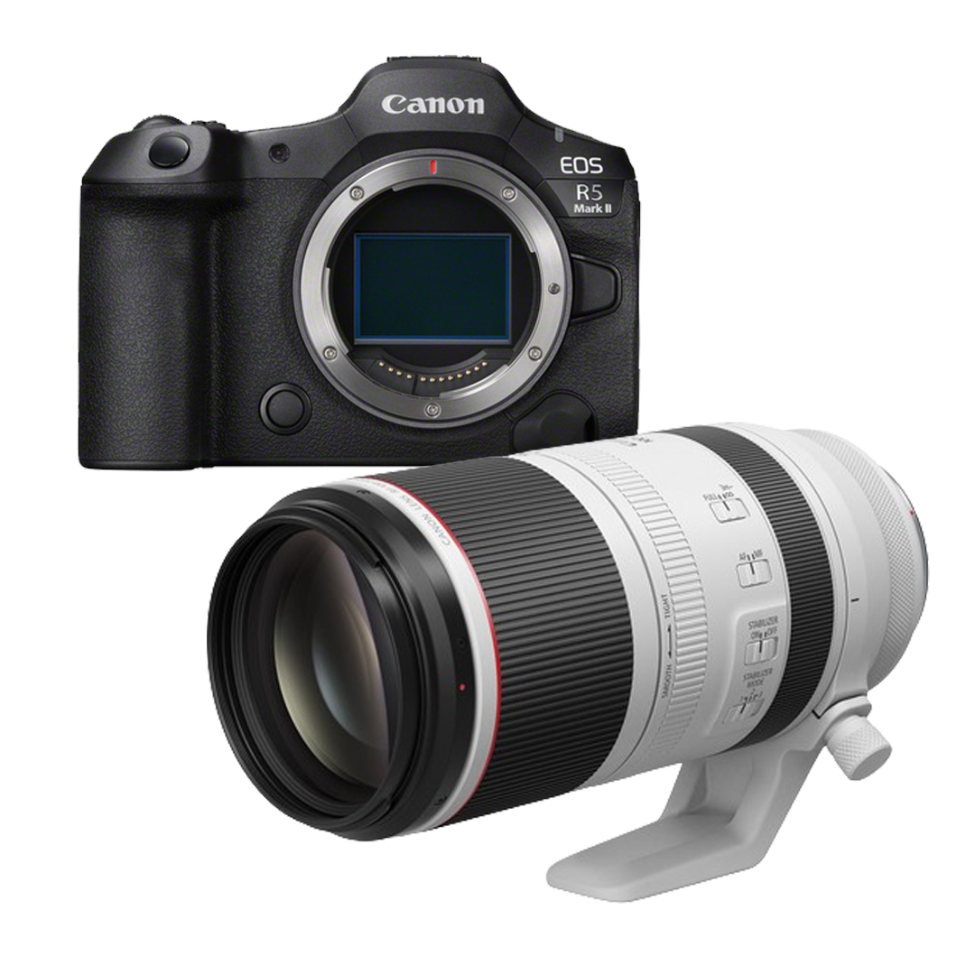 Canon EOS C50 + LP-E6P + DJI RS5 Gimbal Bundle