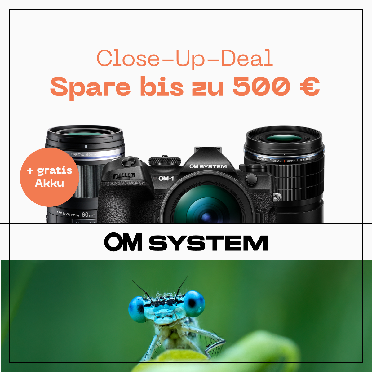 om herbst cashback 2026