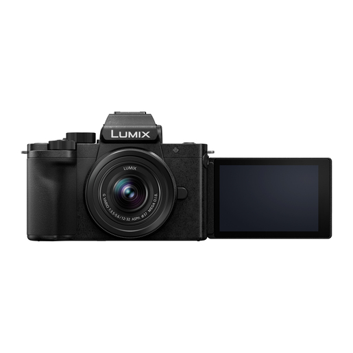 Panasonic Lumix DC-G100DK