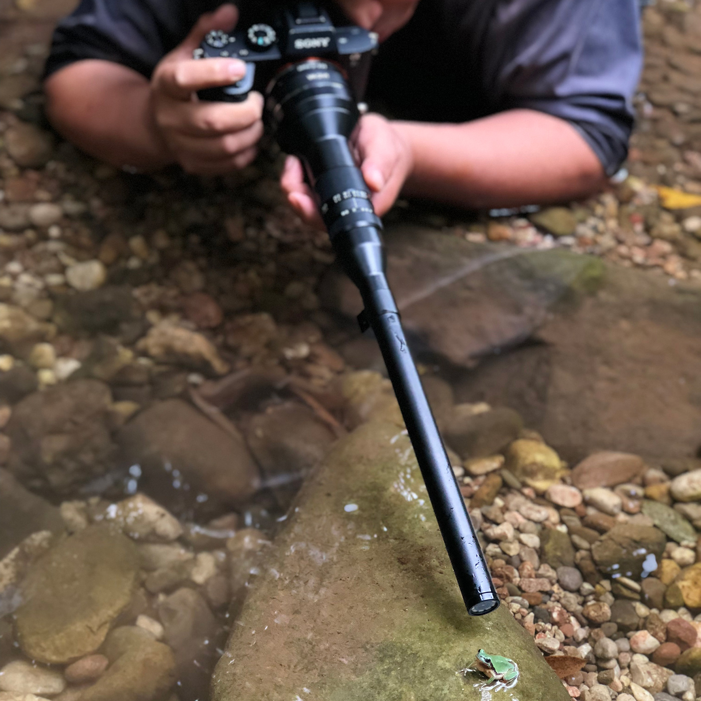 Laowa 24mm f/14 2x Macro Probe Cine für Sony E