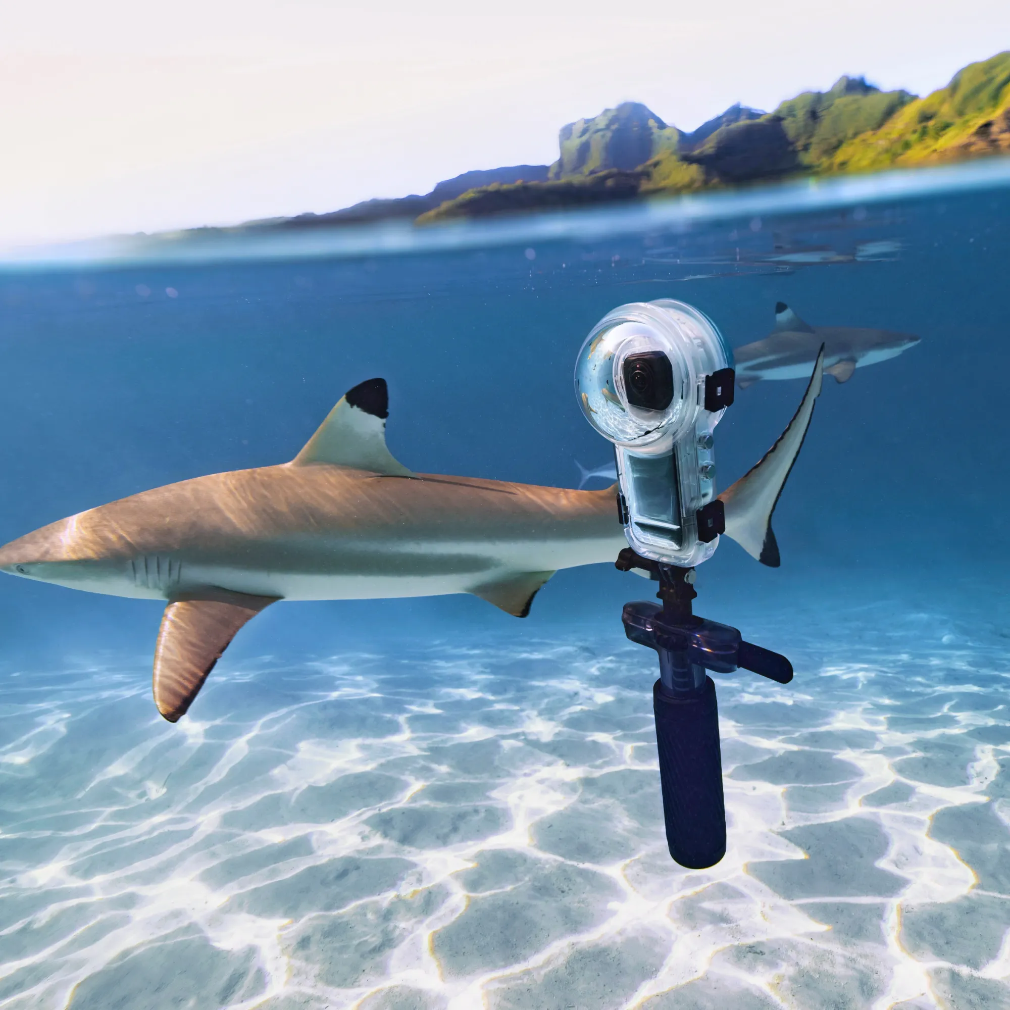 Insta360 Tauch-Buddy für X5 und X4 Air