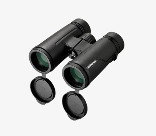 Olympus 8x42 PRO Fernglas