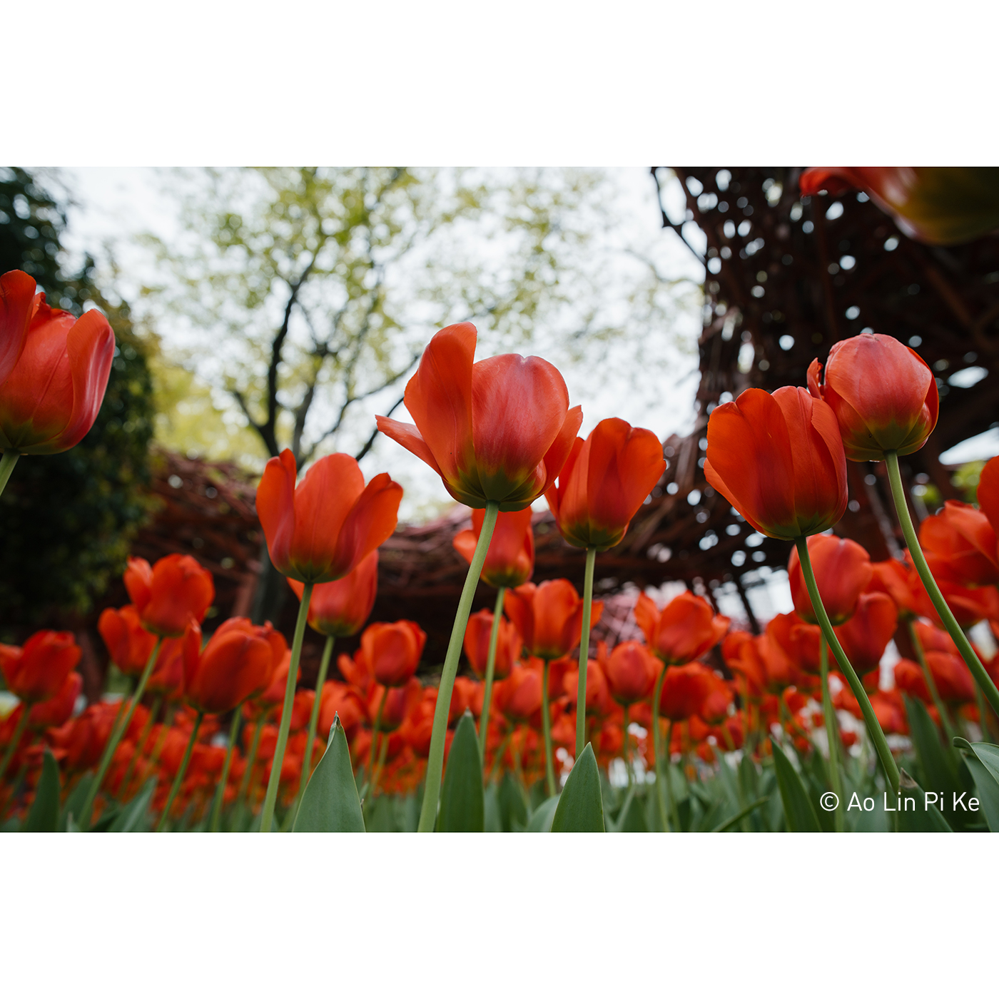 7Artisans AF 24mm f/1,8 - Sony FE (FF)