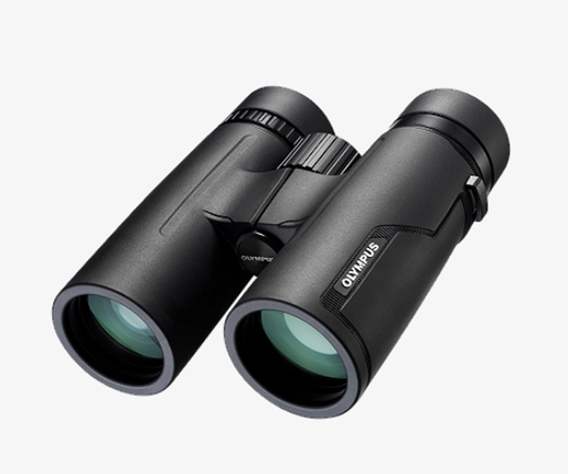 Olympus 8x42 PRO Fernglas